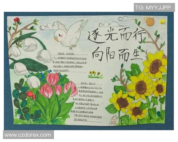 景菡一的成长之路与心灵探索：在追寻梦想的旅程中绽放自我